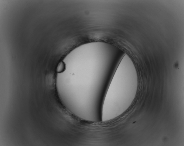 X0000102480420200808081037