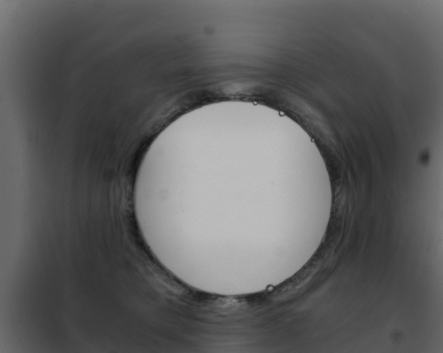 X0000102480421200808081037