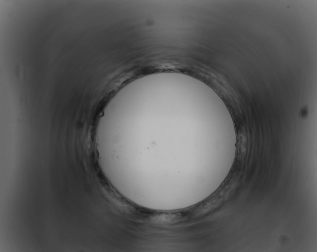 X0000102480422200808081037