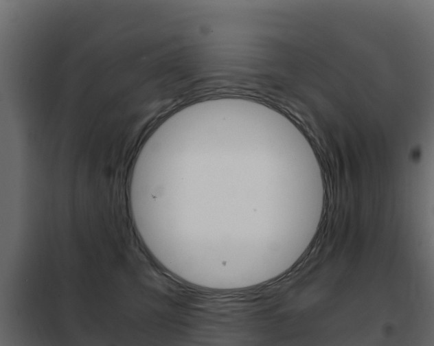 X0000102480423200808081037
