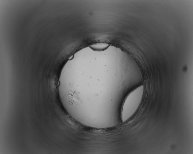 X0000102480424200808081037