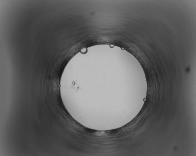 X0000102480425200808081037