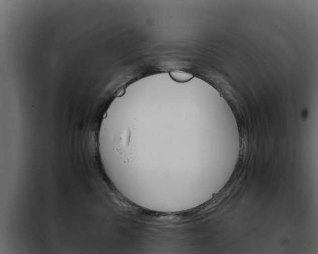 X0000102480426200808081037