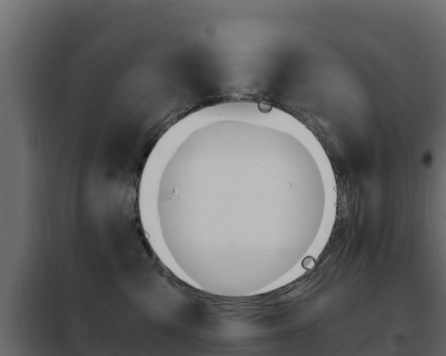 X0000102480427200808081037