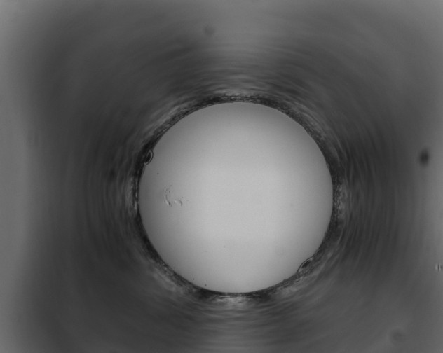 X0000102480428200808081037