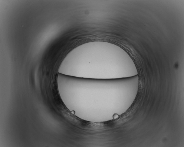X0000102480429200808081037