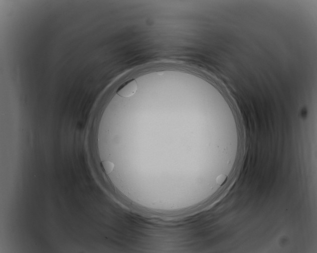 X0000102480431200808081037