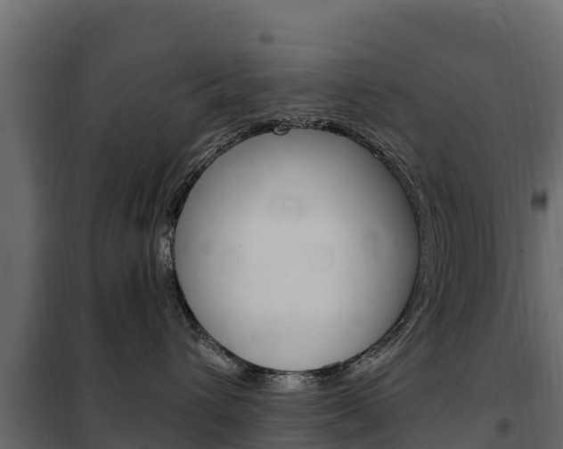 X0000102480432200808081037