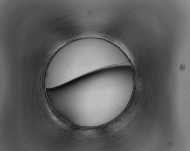 X0000102480433200808081036