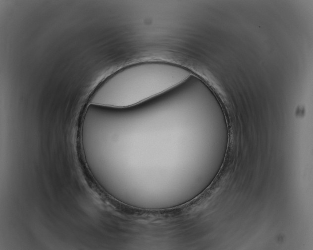 X0000102480434200808081036