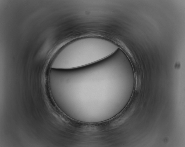X0000102480435200808081036