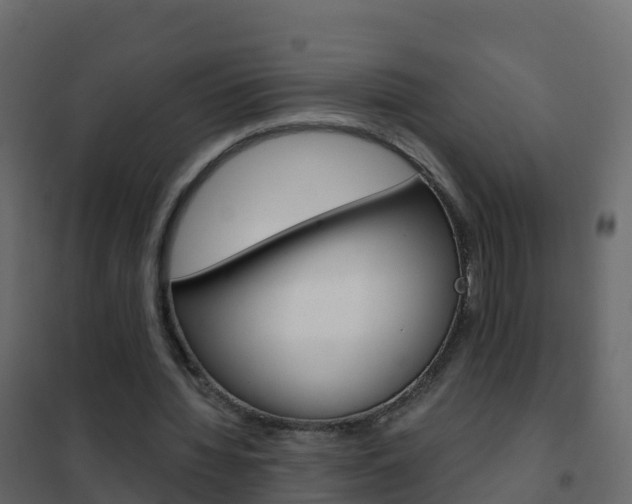 X0000102480436200808081036