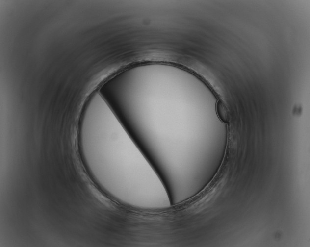 X0000102480437200808081036