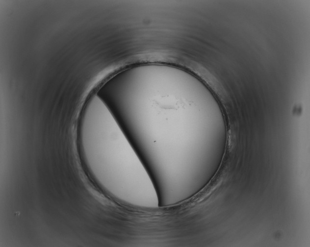 X0000102480438200808081036