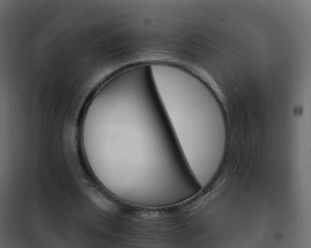 X0000102480439200808081036