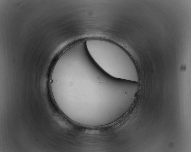 X0000102480440200808081036