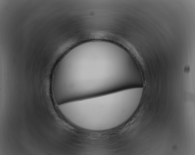 X0000102480442200808081036