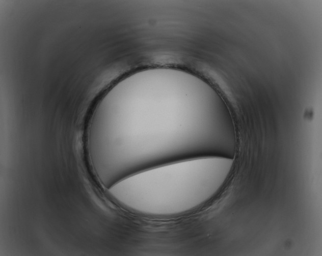 X0000102480443200808081036