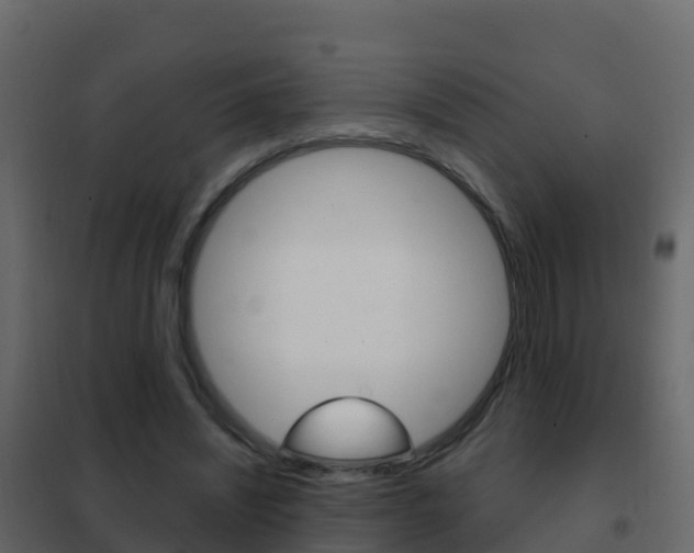 X0000102480444200808081036