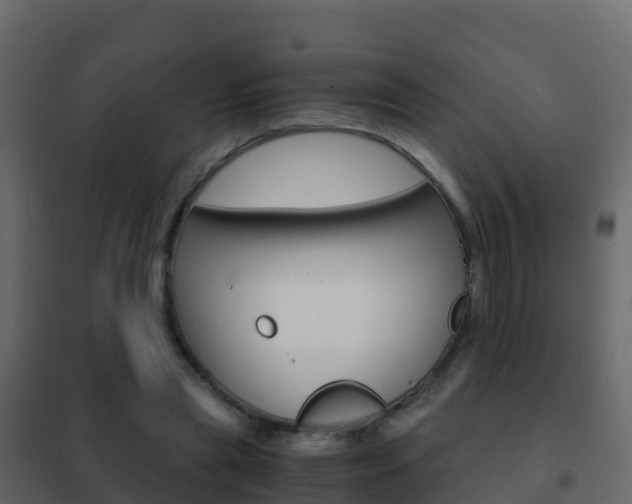 X0000102480445200808081036