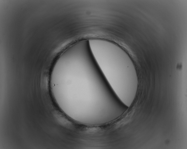 X0000102480446200808081036