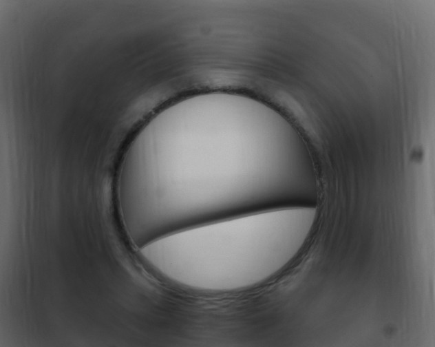 X0000102480447200808081036