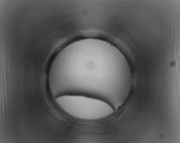 X0000102480448200808081036