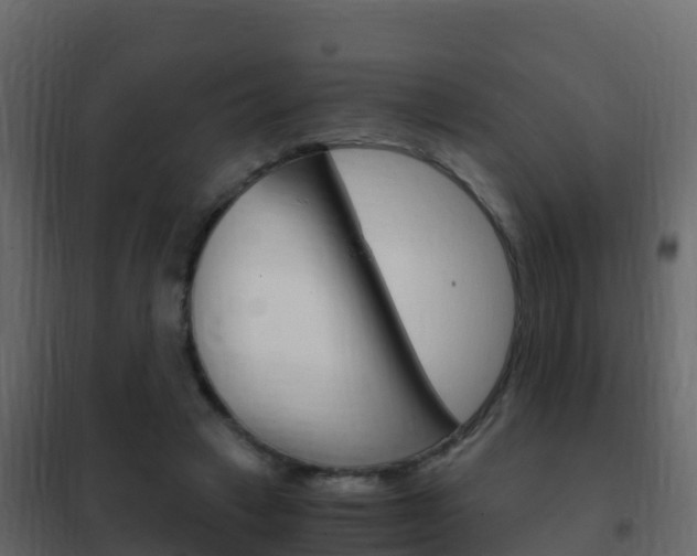 X0000102480449200808081036