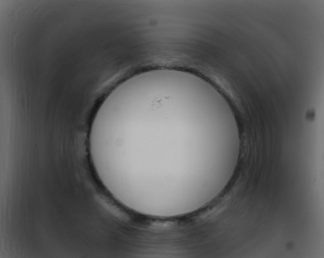 X0000102480450200808081036