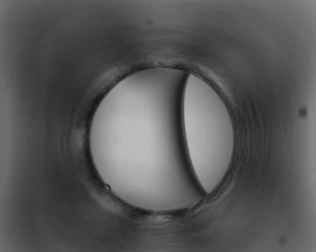 X0000102480451200808081036