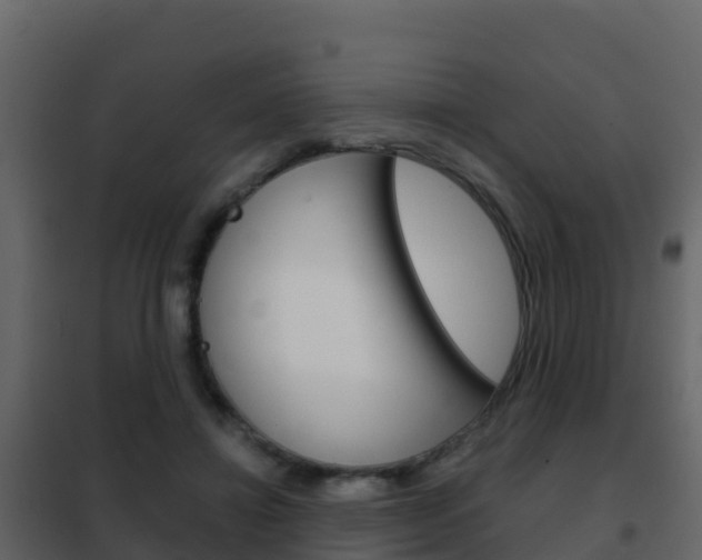 X0000102480452200808081036