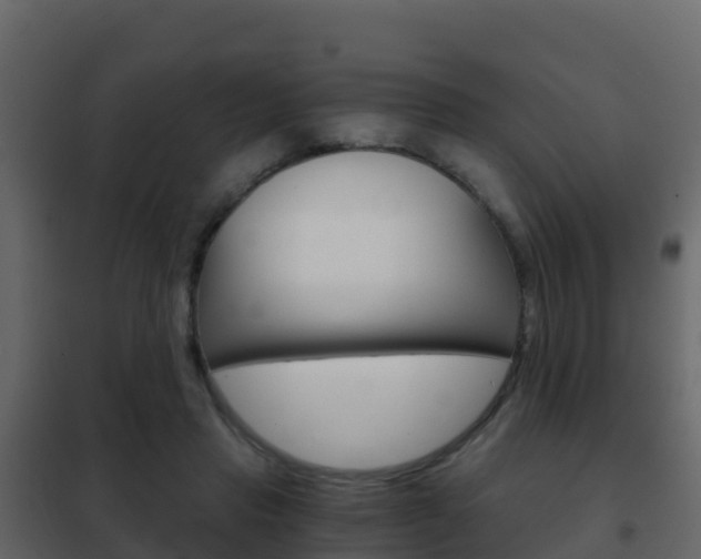 X0000102480453200808081036