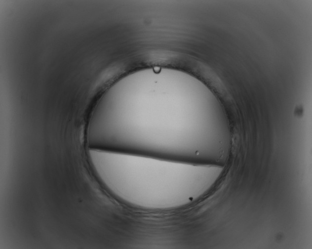 X0000102480454200808081036