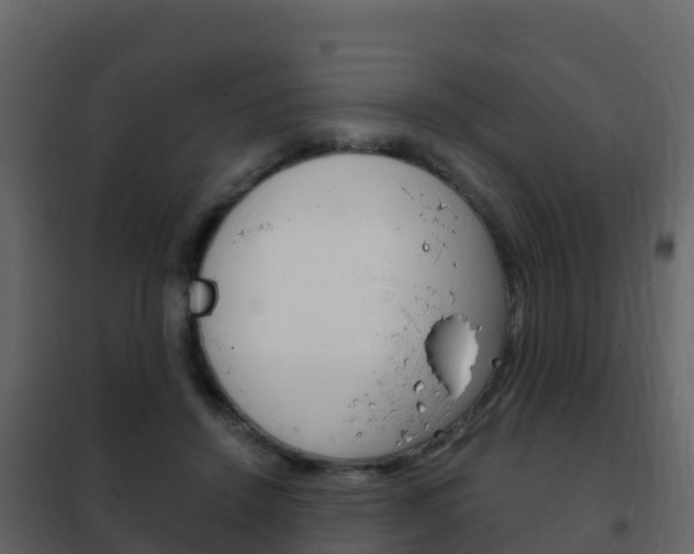 X0000102480456200808081036