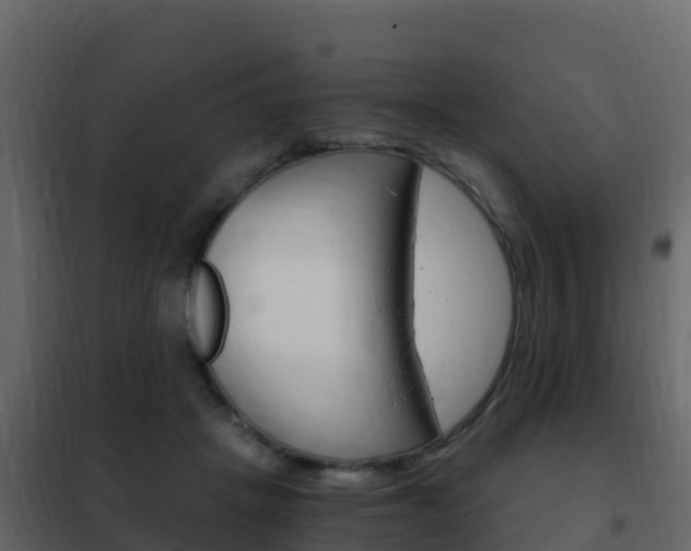 X0000102480457200808081036