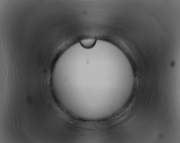 X0000102480458200808081036