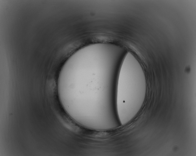 X0000102480459200808081036