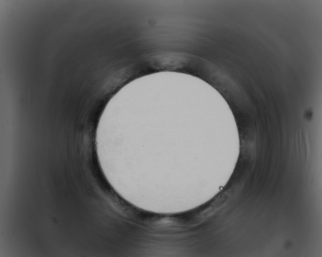 X0000102480460200808081036