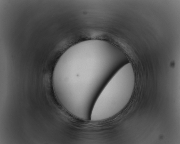 X0000102480461200808081036