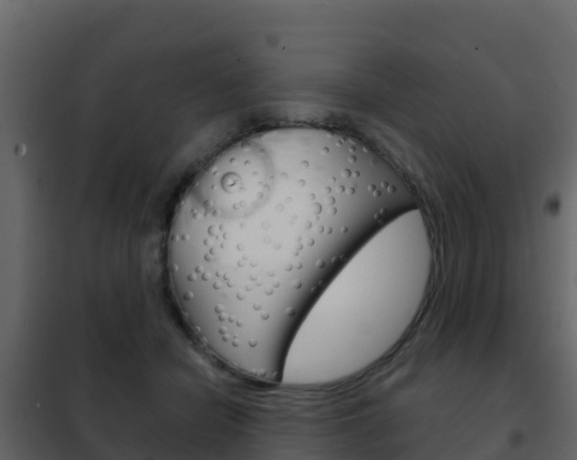 X0000102480462200808081036