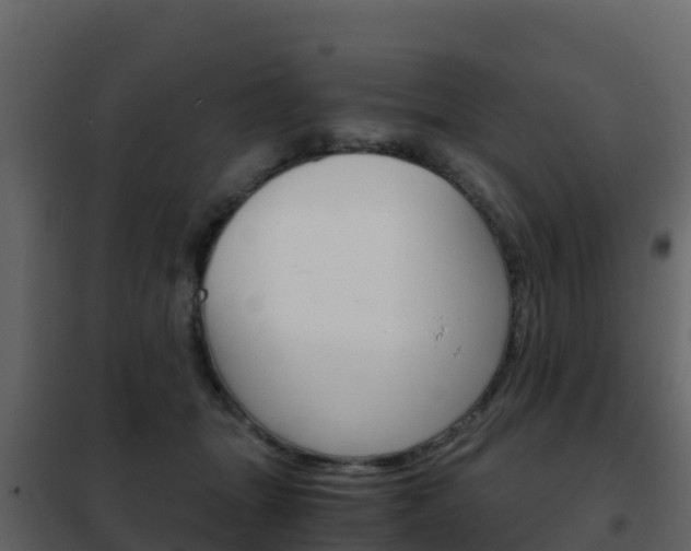 X0000102480463200808081036