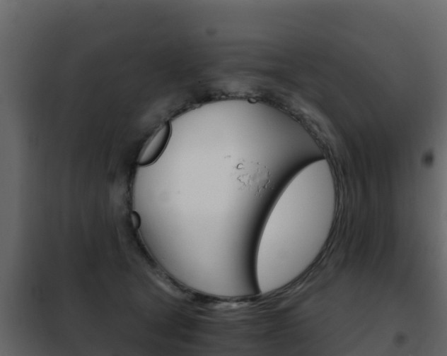 X0000102480465200808081036