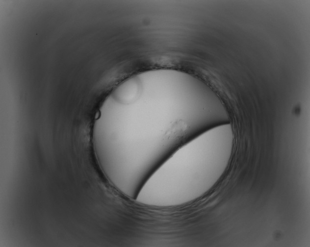 X0000102480466200808081036
