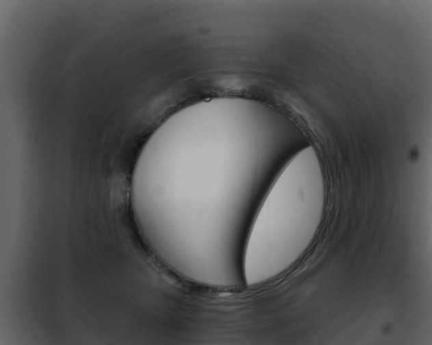 X0000102480467200808081036