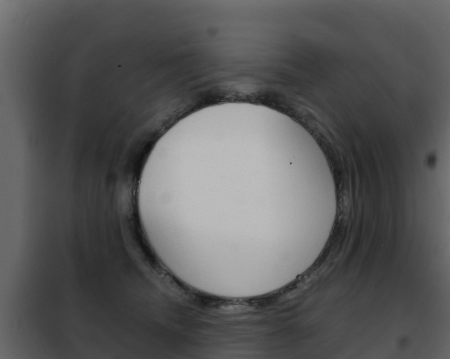X0000102480468200808081036