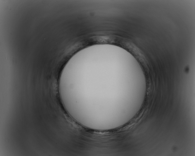 X0000102480469200808081037