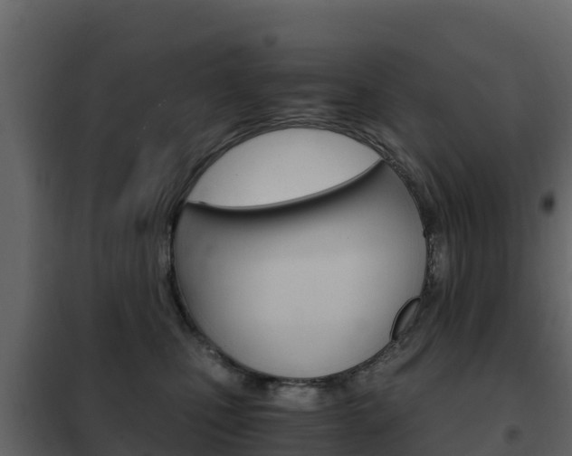 X0000102480471200808081037