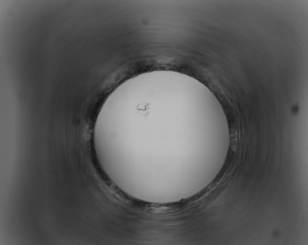 X0000102480472200808081037