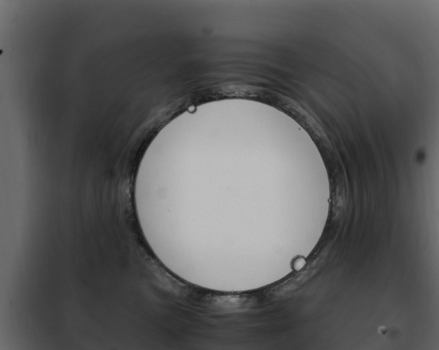 X0000102480473200808081037