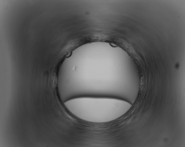 X0000102480474200808081037